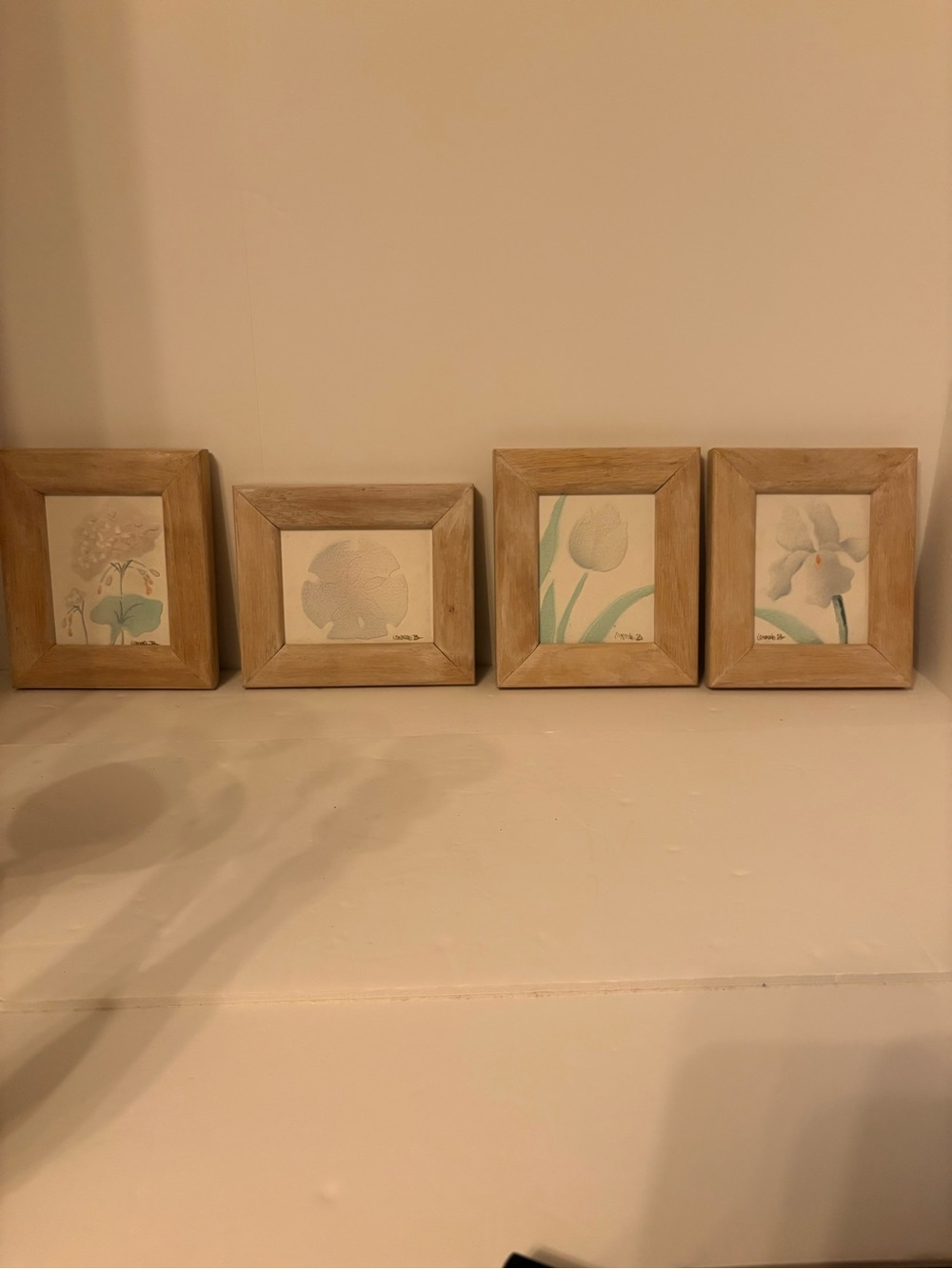 4 Connie B. Artist, miniature watercolor framed painting’s. Tulip, sand dollar